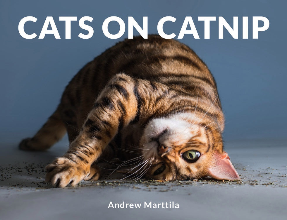 Cats On Catnip