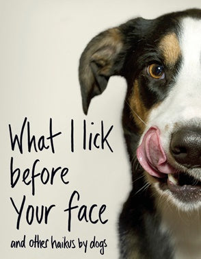 What I Lick Before I Lick Your Face
