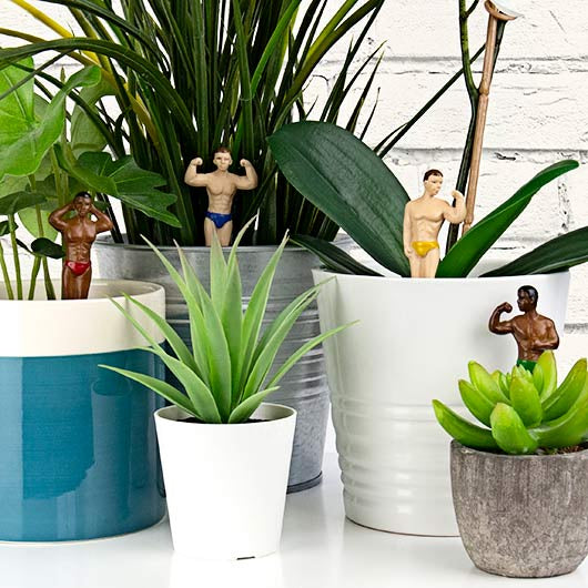Pot Plant Hunks