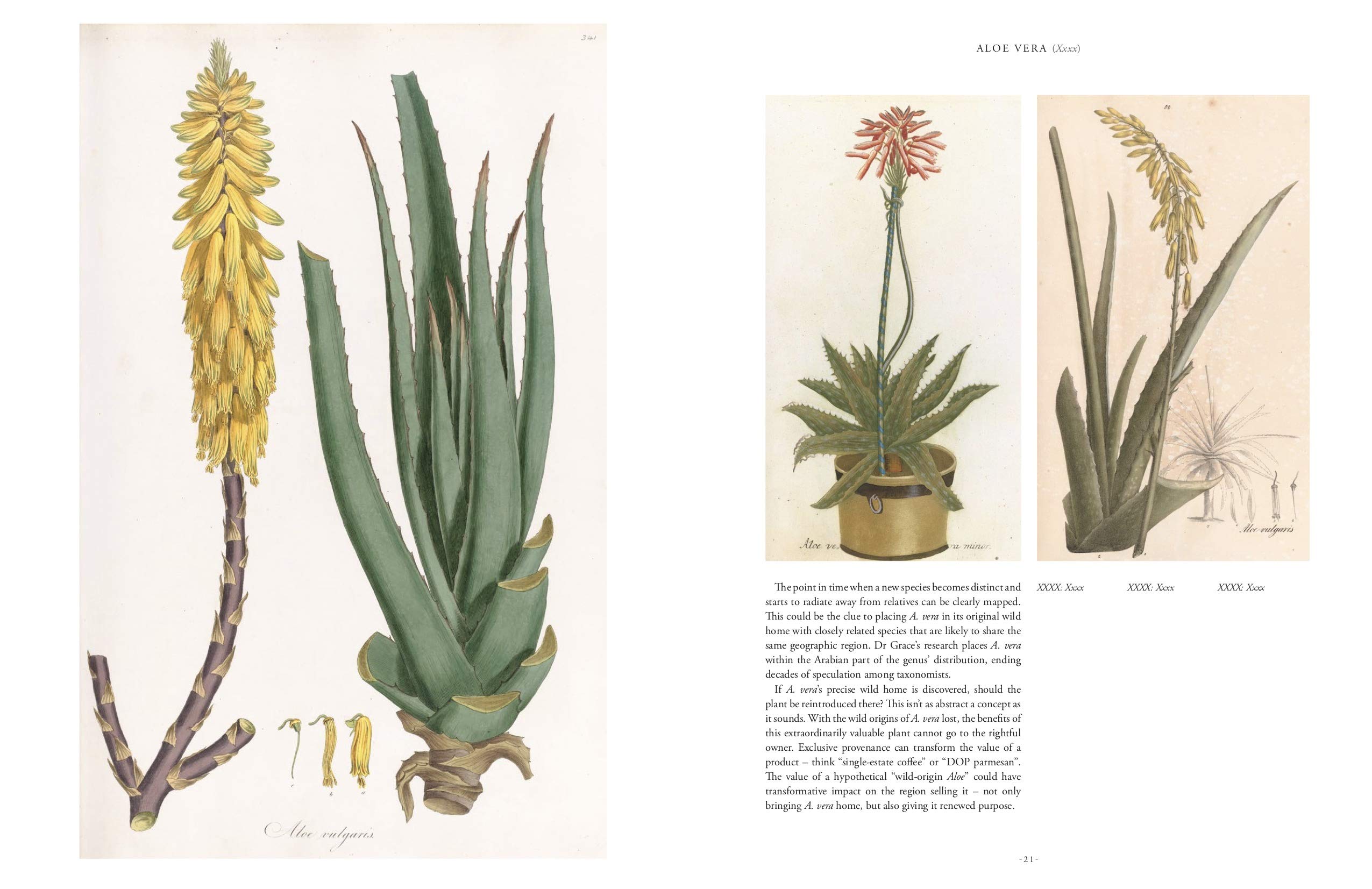 Rare Plants