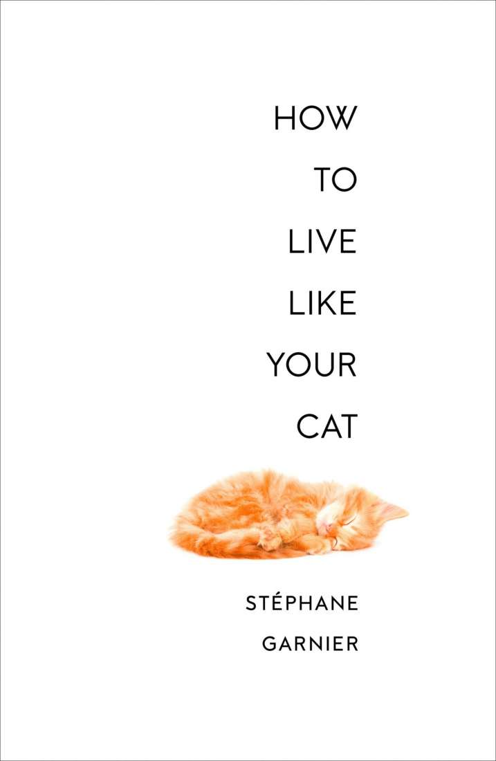 How To Live Like Your Cat