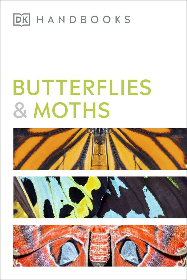 Handbook of Butterflies & Moths