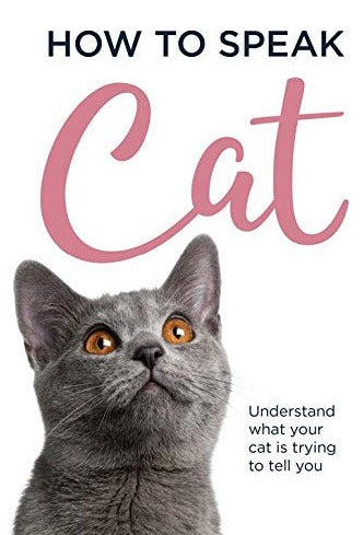 How To Speak Cat