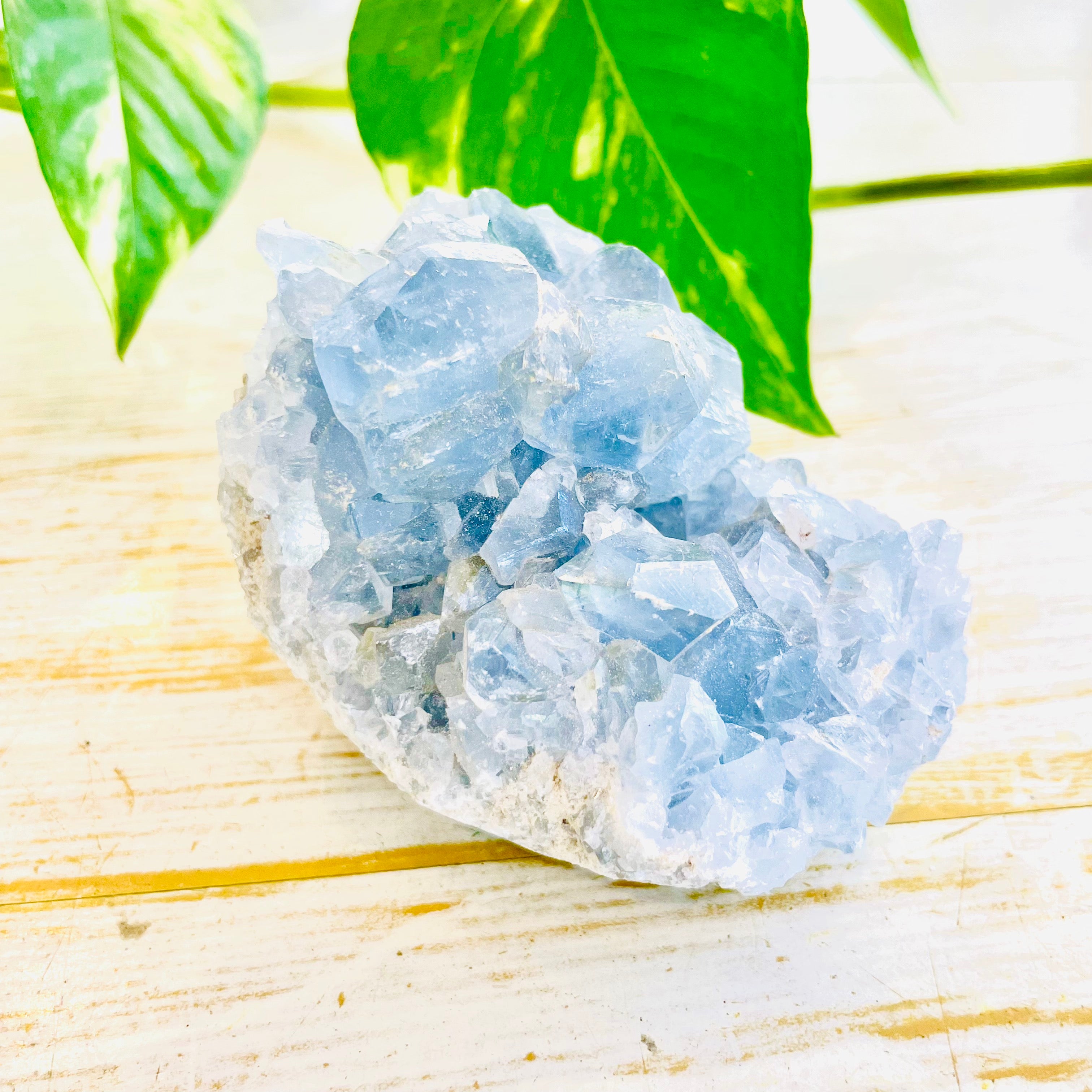 Celestite Cluster