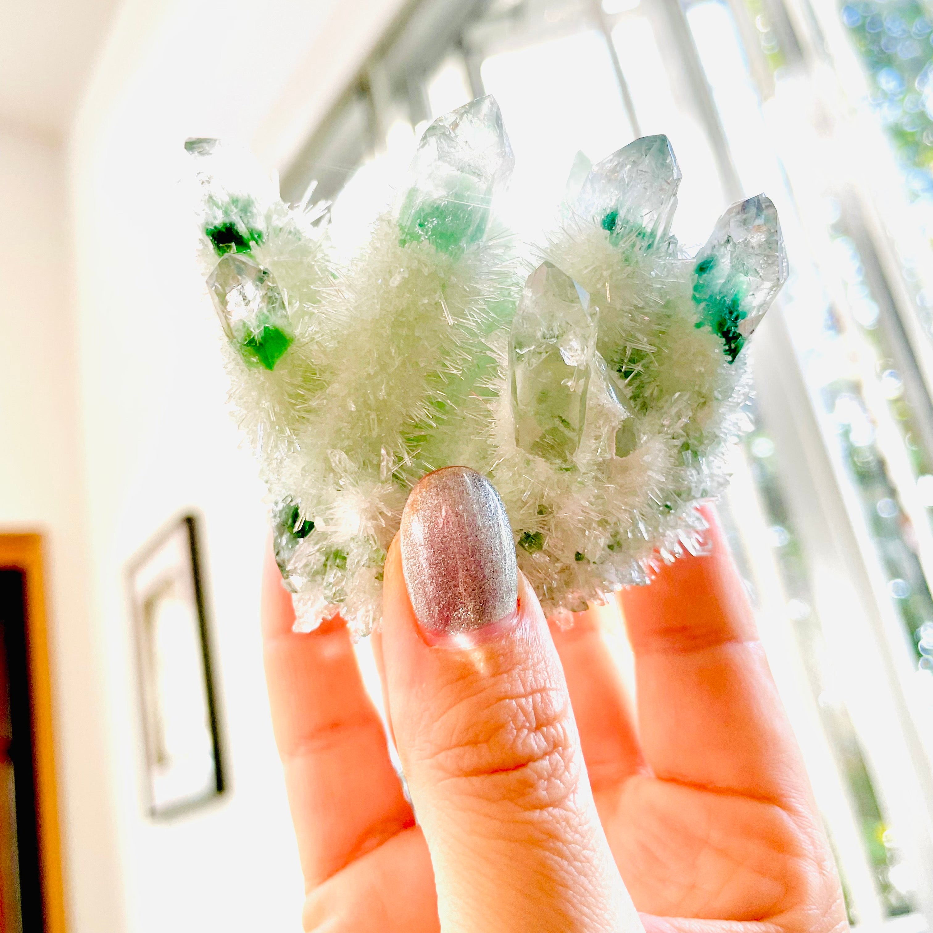 Phantom Quartz- Green Cluster