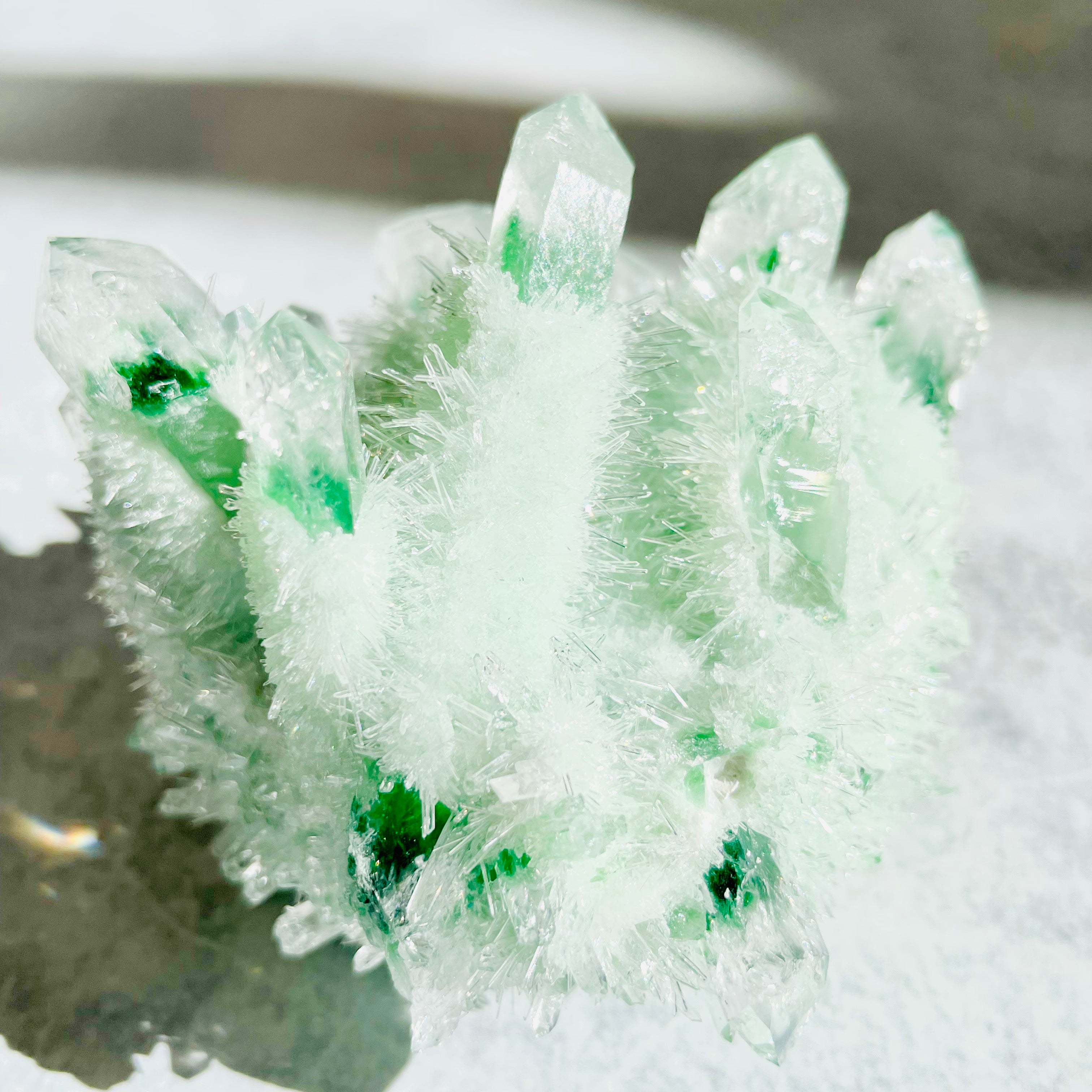 Phantom Quartz- Green Cluster