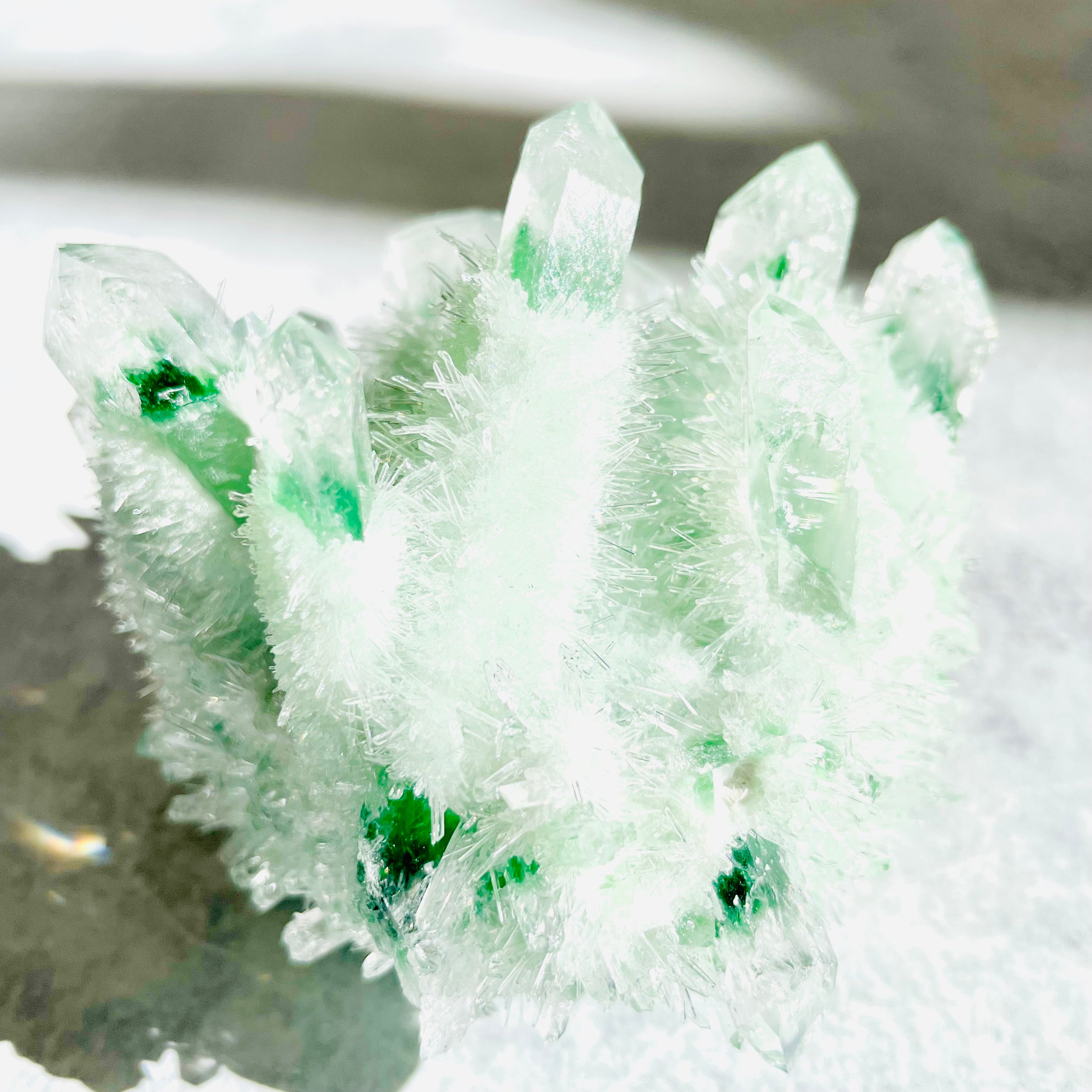 Phantom Quartz- Green Cluster