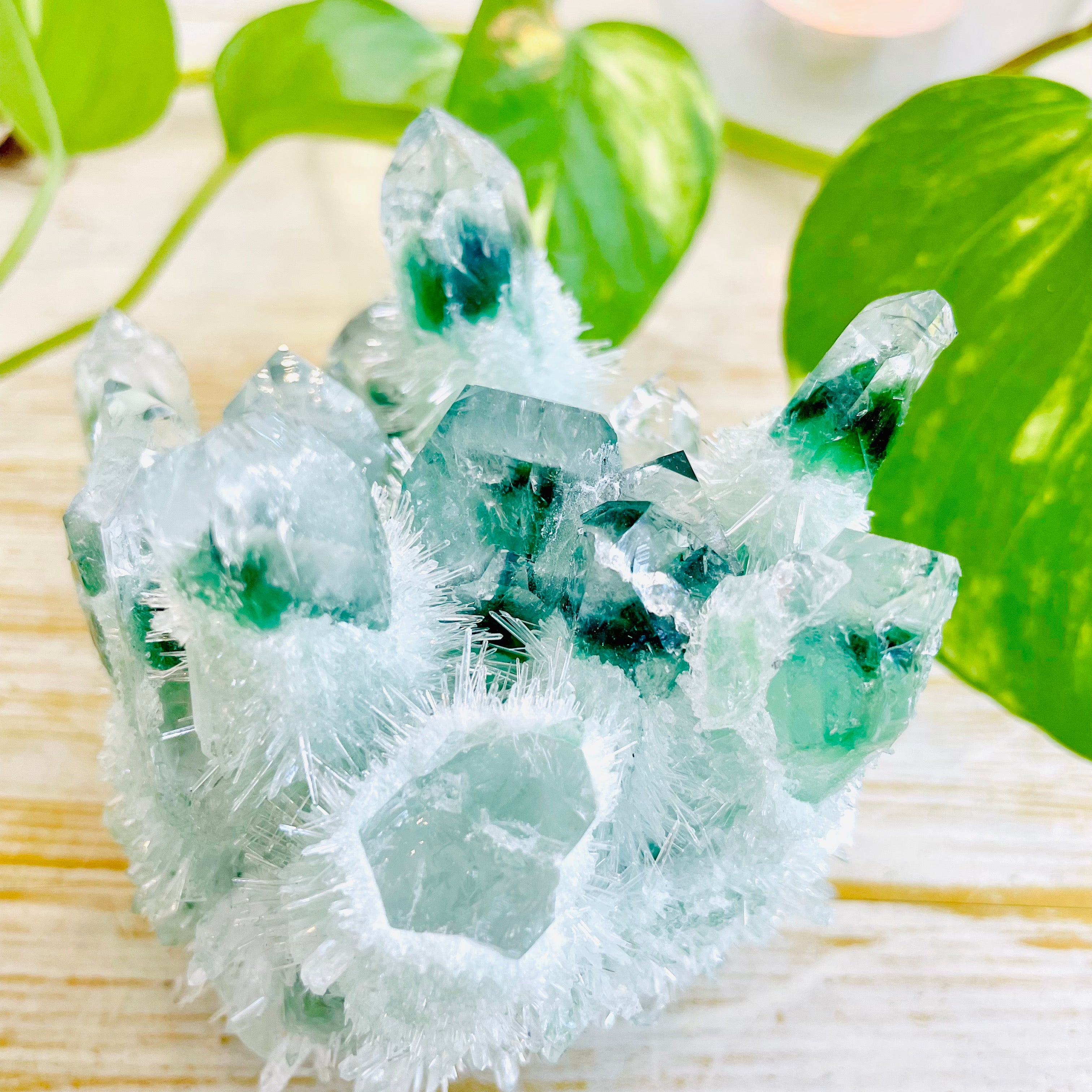 Phantom Quartz- Green Cluster