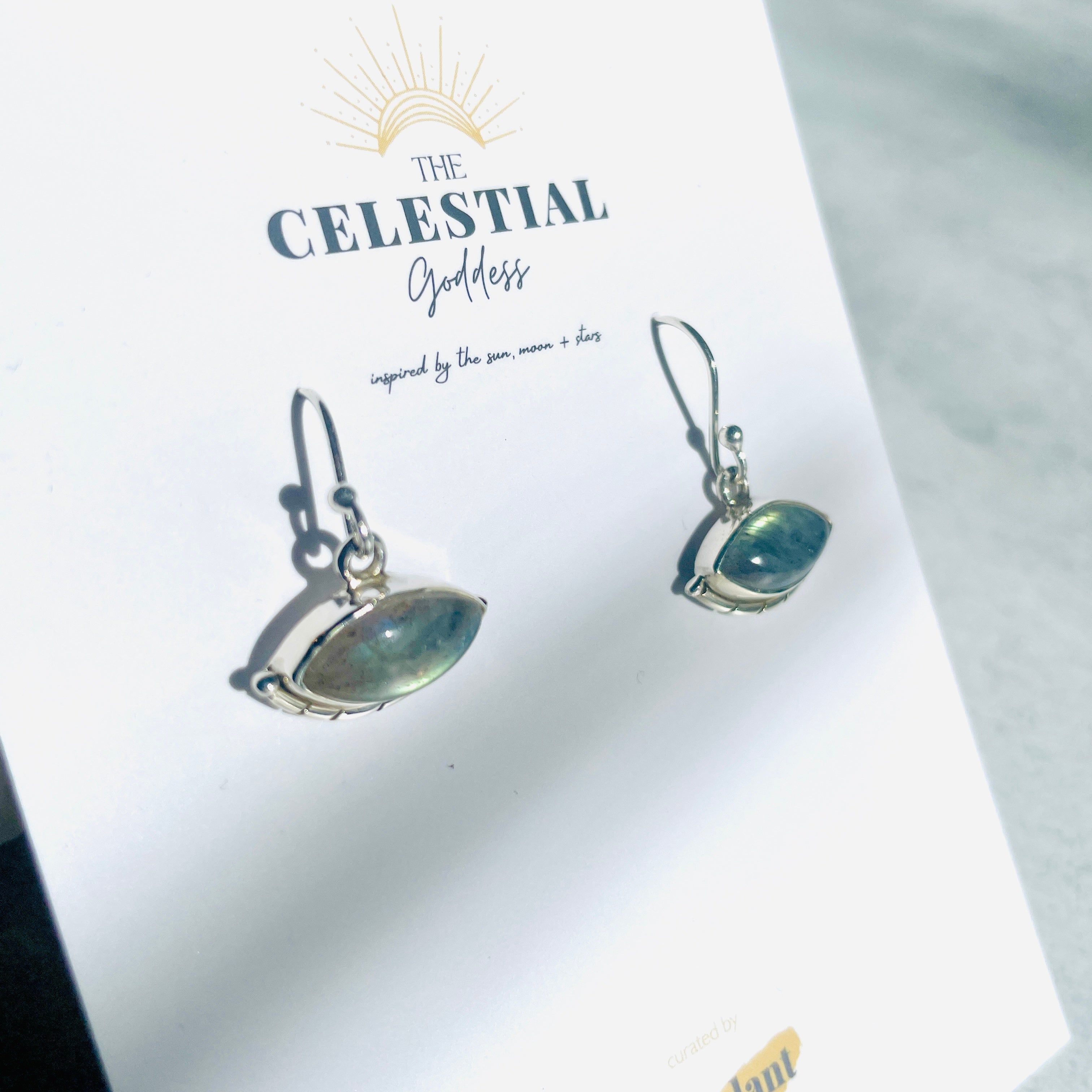 Labradorite & Silver Earrings