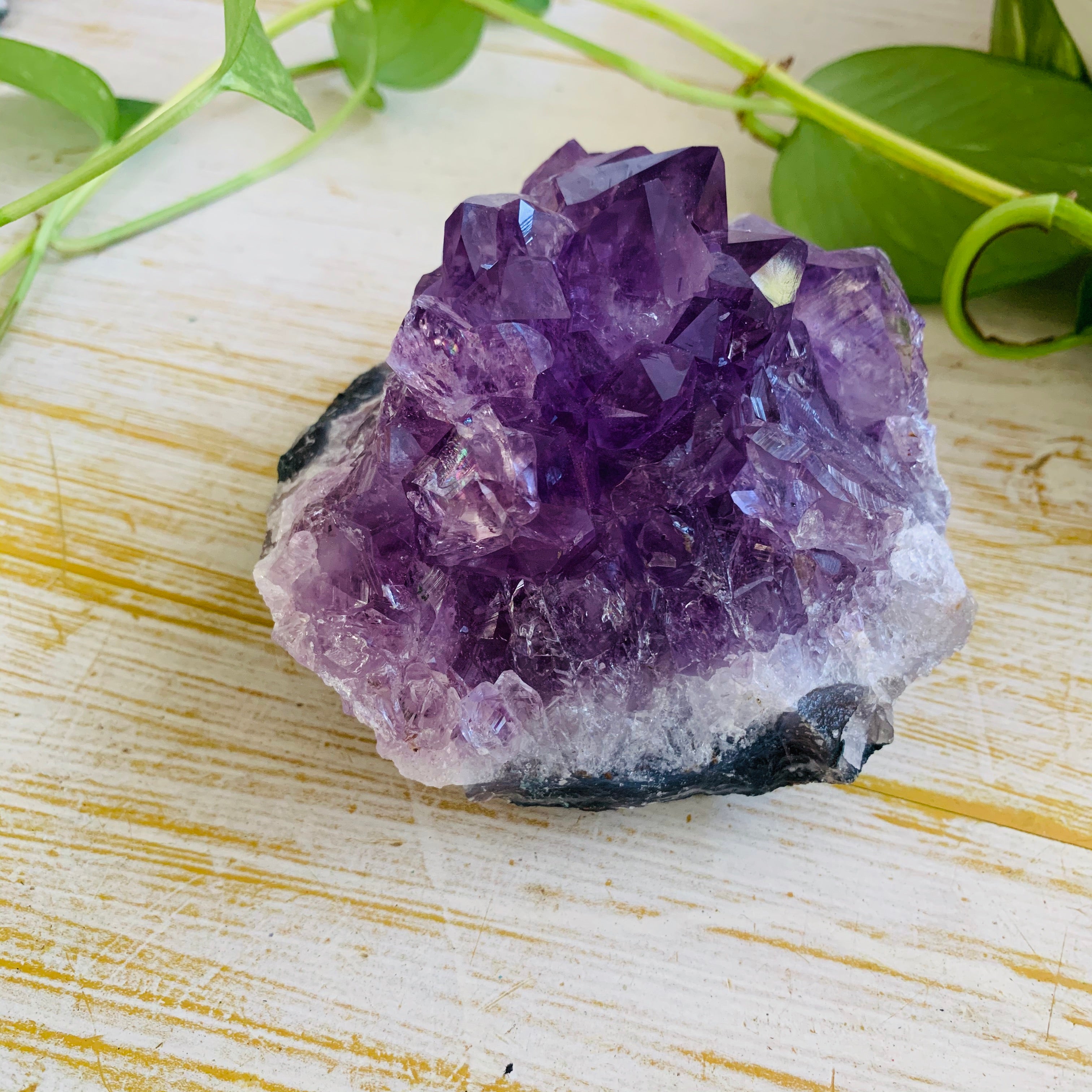 Amethyst - Large Cluster