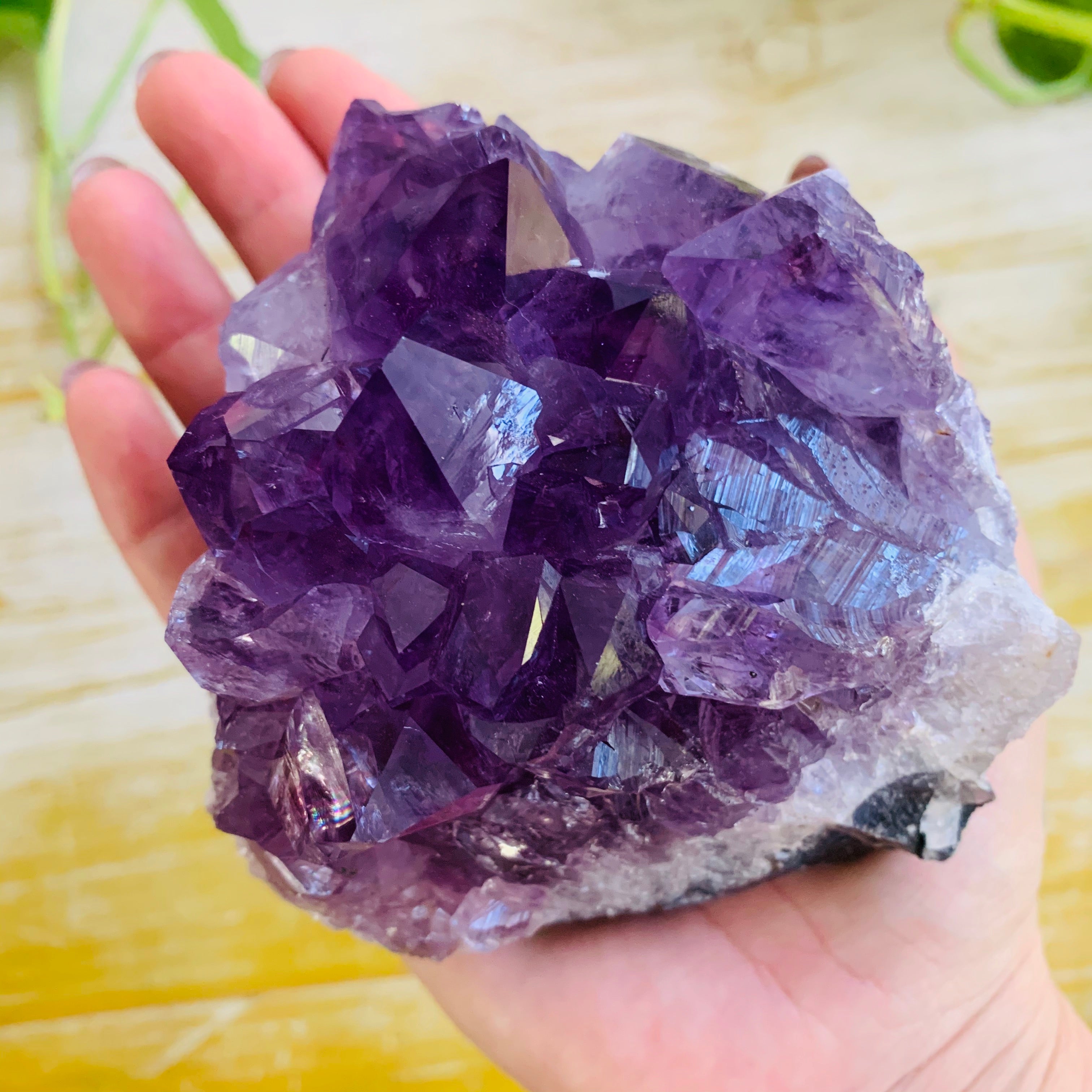 Amethyst - Large Cluster