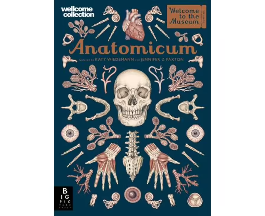 Anatomicum