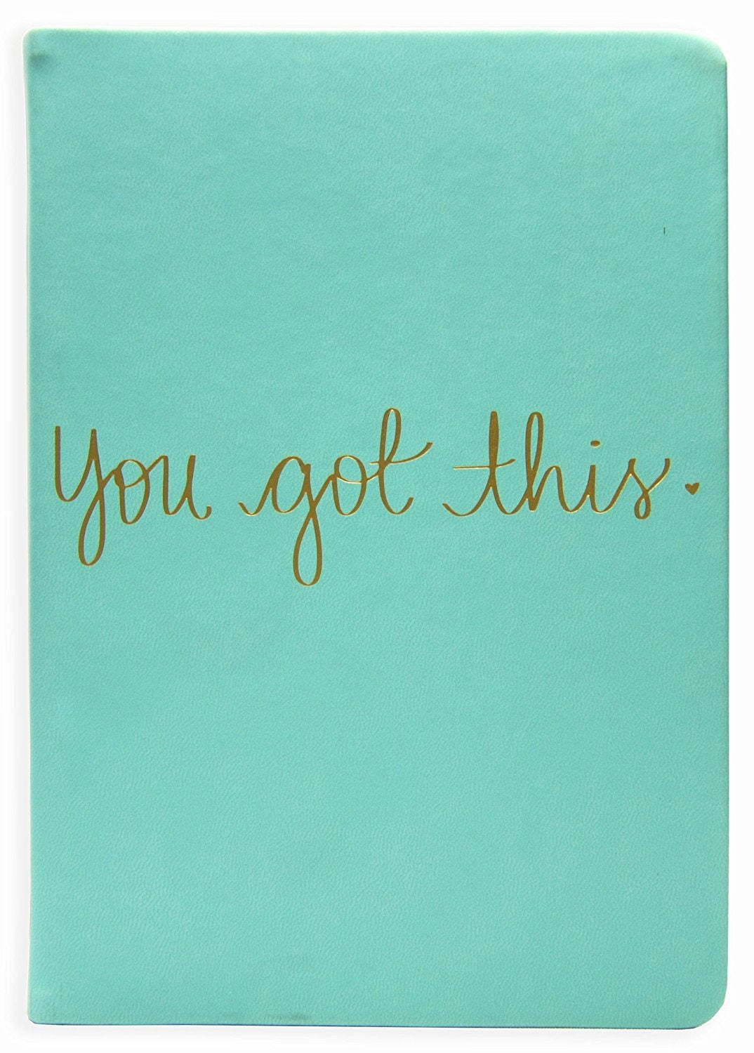 Dayna Lee Journal