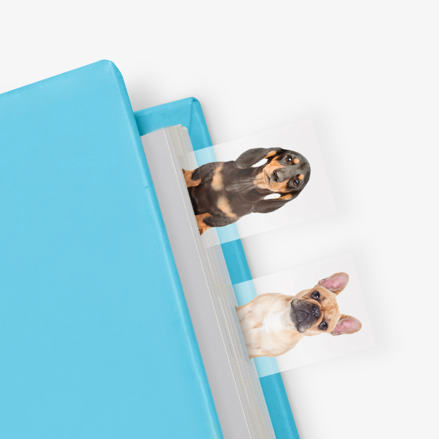 Dog In A Book Markers