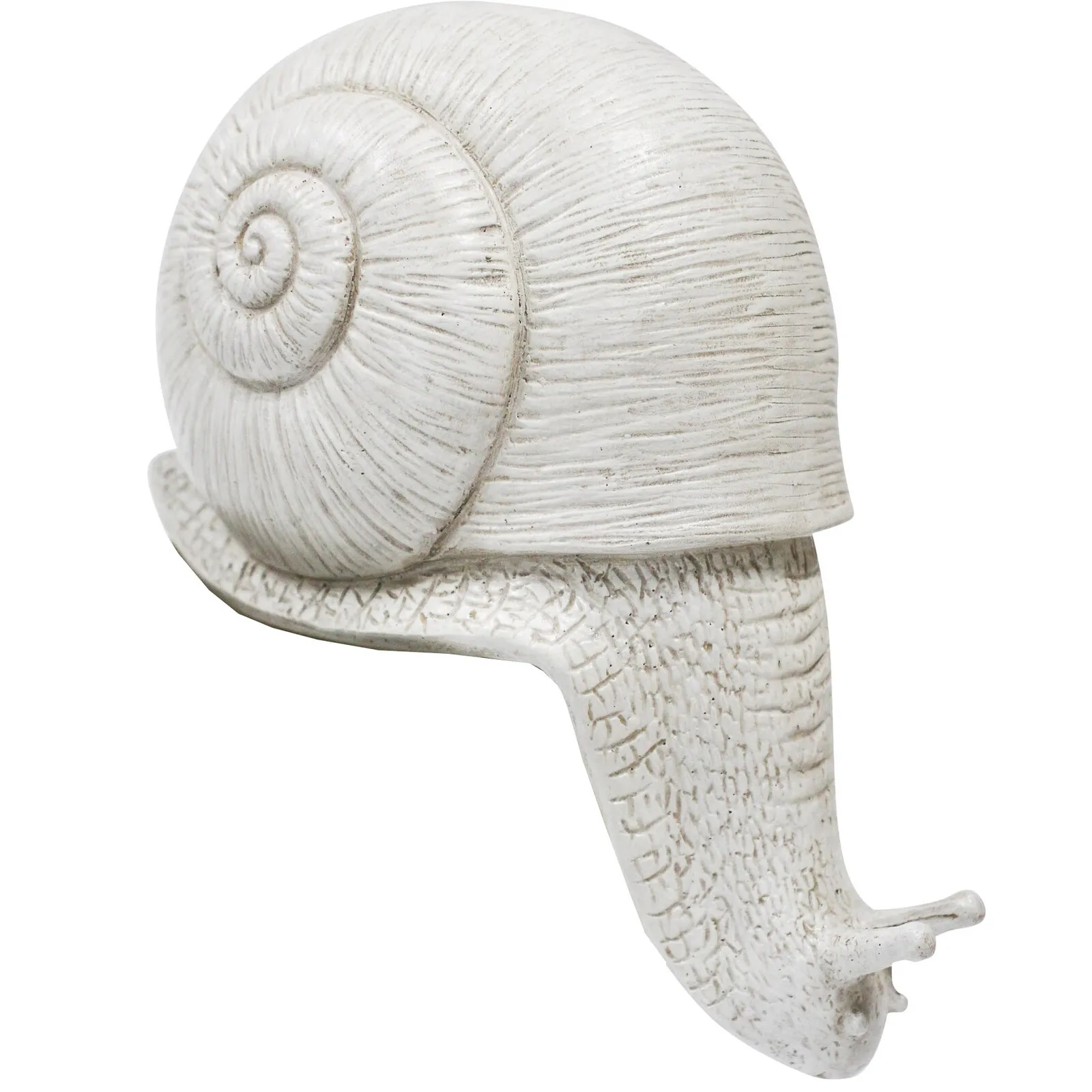 Shelf Snail