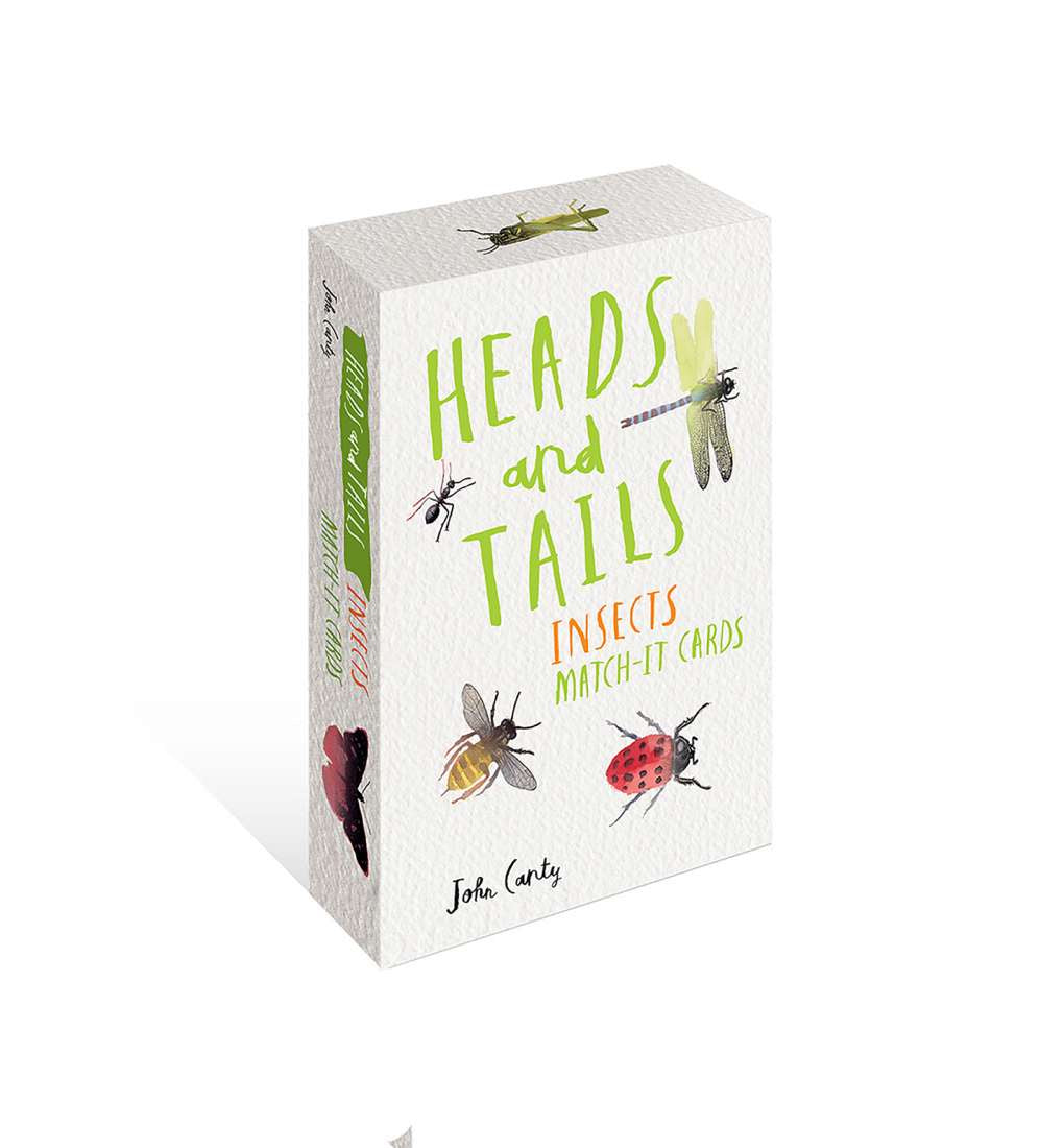 Heads & Tails: Insects Match It Cards