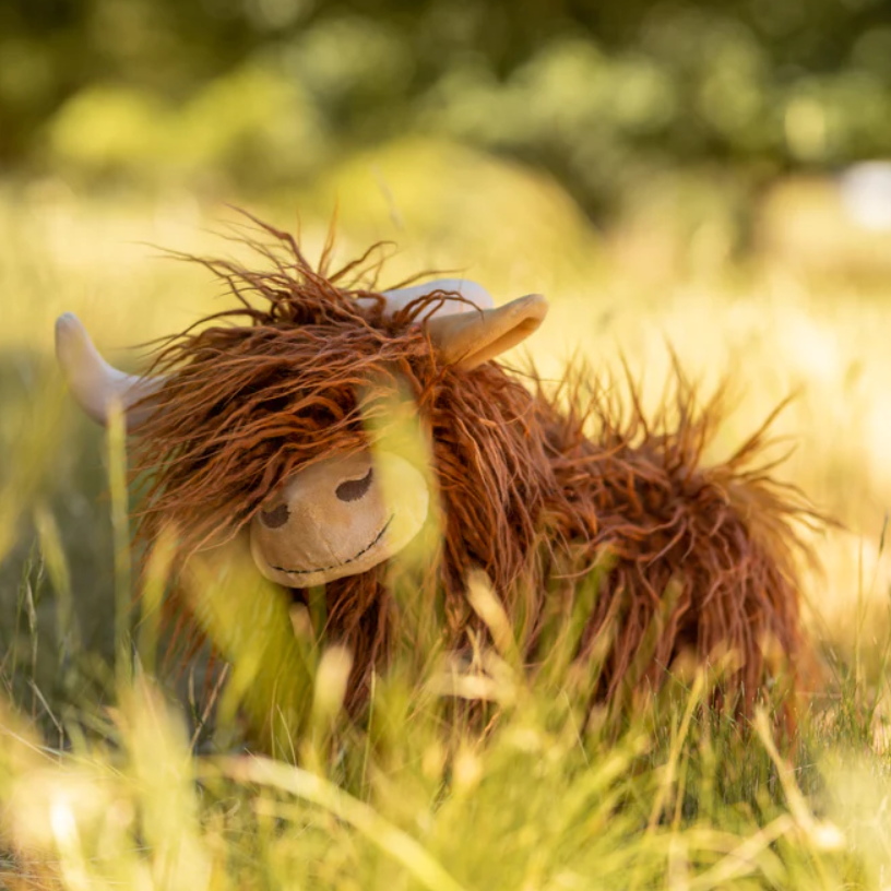 Heidi the Highland Cow - Rust