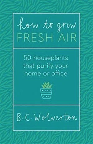 How To Grow Fresh Air