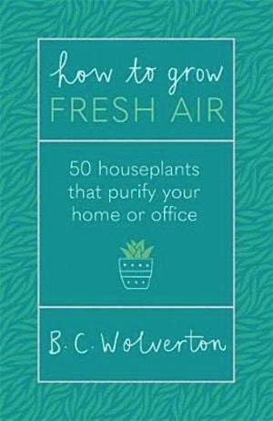 How To Grow Fresh Air