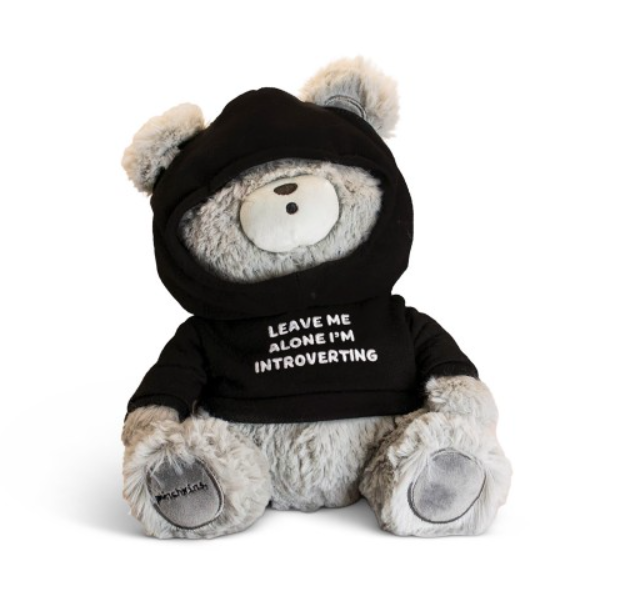 Teddy Bear - Introverted