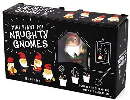 Naughty Gnomes Planters