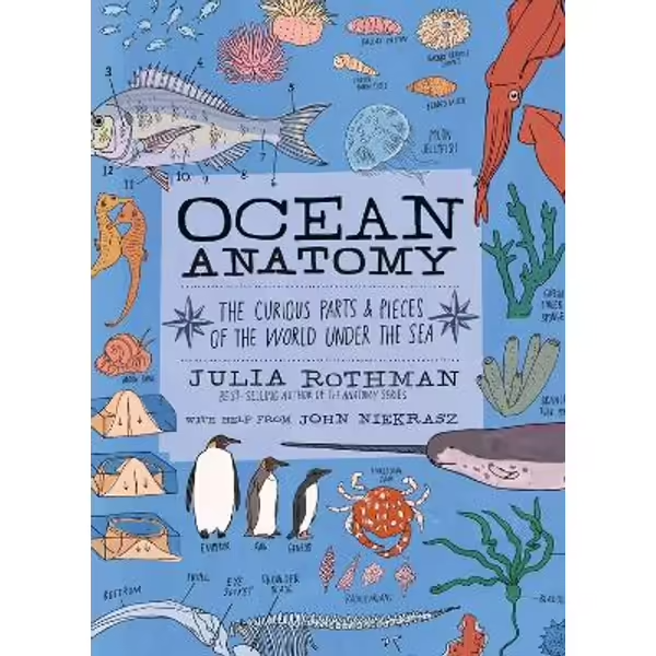 Ocean Anatomy