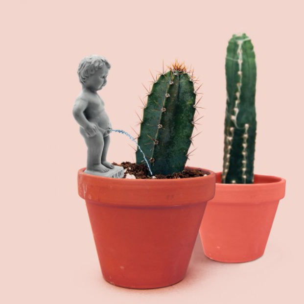 Pee My Plants Waterer