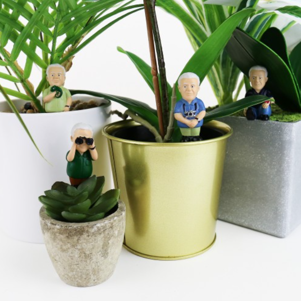 Pot Plant Attenborough Explorers