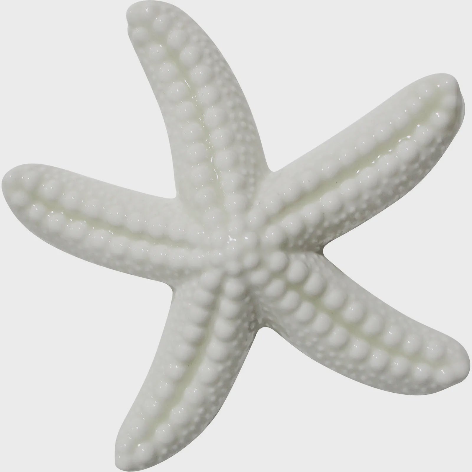 Ceramic Starfish