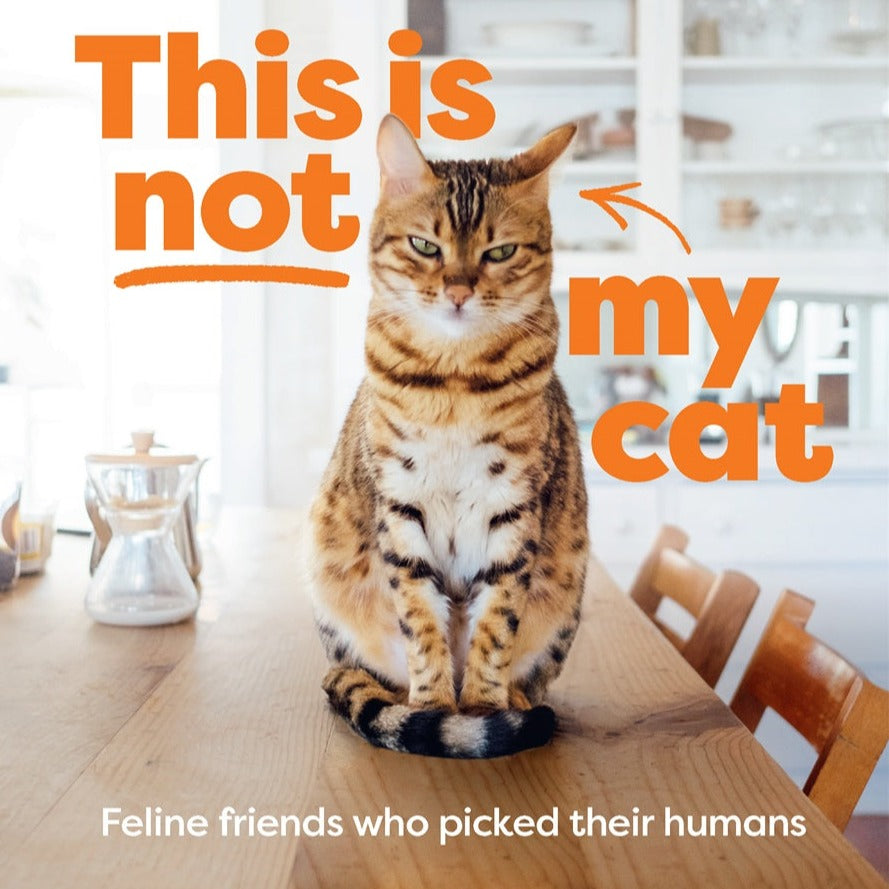 This Is Not My Cat